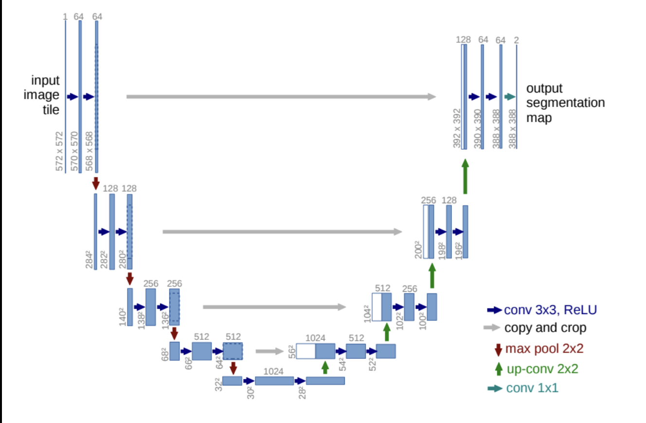 U-Net architecture used for the segmentation backbone